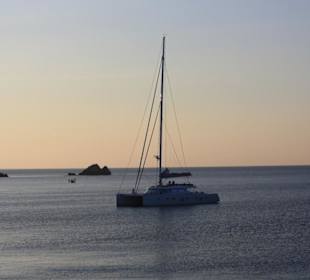Delphin Tour