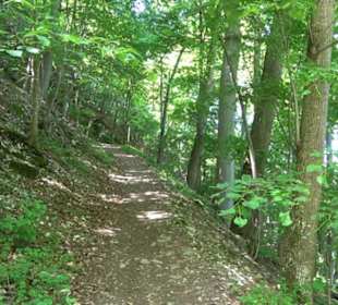 Premiumwanderweg "hochgelegen"