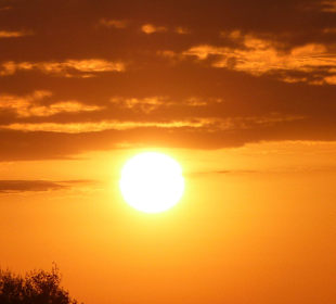 Sonnenuntergang Sanibel