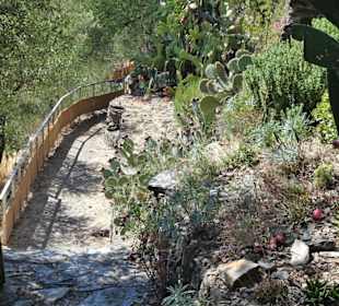 Eindrücke aus dem Jardin Méditerranéen