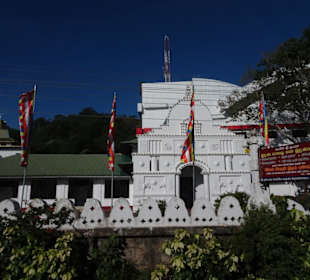 Geführte Touren Your Tour Sri Lanka