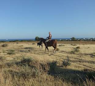 Tagesritt zum Strand