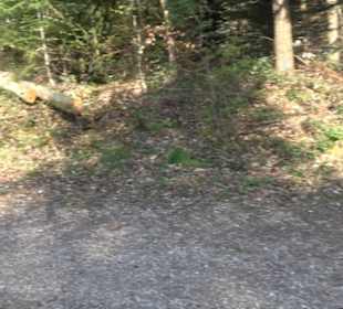 Wanderung Florianrunde