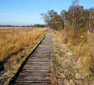 Auf dem Bohlenweg rund um das Ewige Meer
