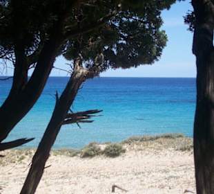 Ganz für uns alleine!