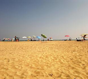Strand in Bibione Juni 2012