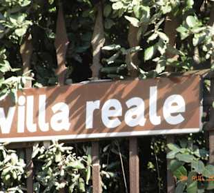 Villa Real