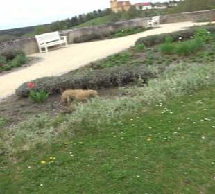 Schlossgarten Ellwangen