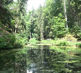 Wanderweg Märchensee Runde