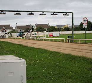 Windhundrennen Tralee
