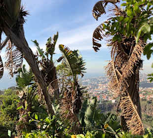 Botanischer Garten