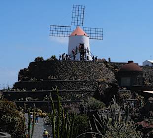 Jardin de Cactus / Kaktusgarten Guatiza