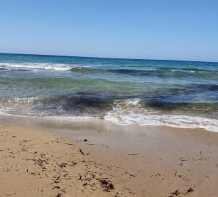 Strand Stalis