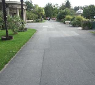 Botanischer Garten München