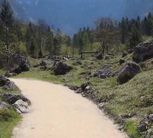 Weg zum Obersee