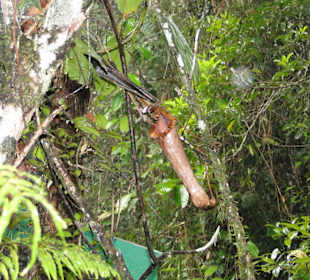 Ausflug Wildfife Expeditions