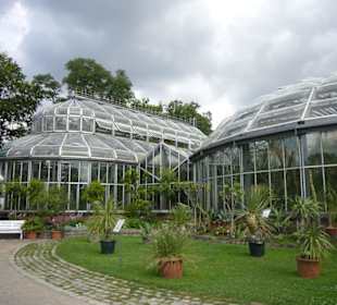 Botanischer Garten Berlin