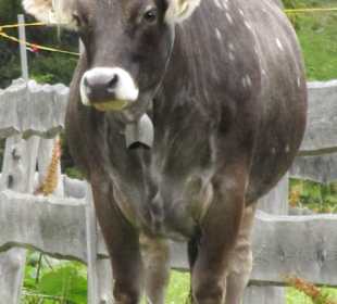 Wandern St. Leonhard