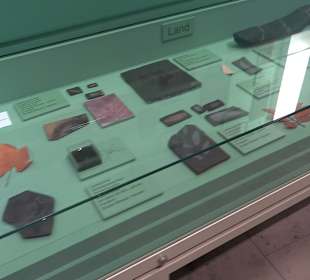 Staatliches Naturkunde Museum