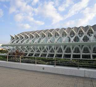 Ciudad de las Artes y las Ciencias