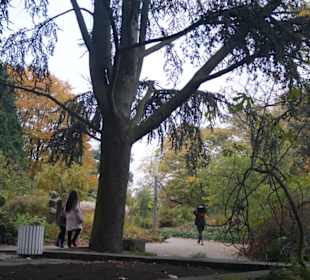 Parkanlage Planten un Blomen