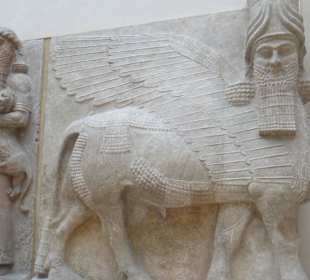Winged human headed bull from Mesopotamia