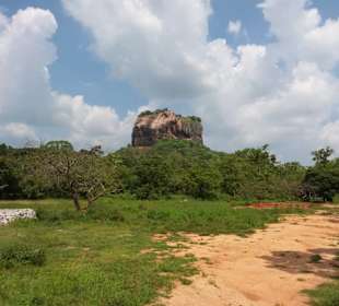 Elefantenreiten Sigiriya