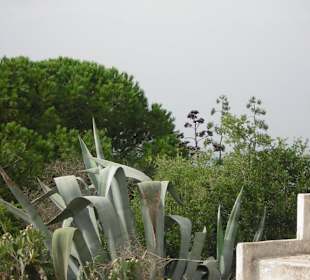 Wunderschöne Gartenanlage