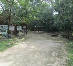 Ein Spaziergang auf dem Ruinen Gelände