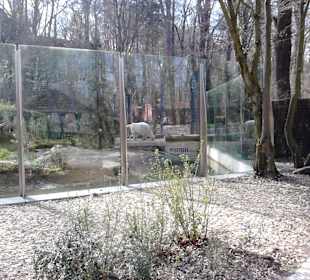 Tierpark Hellabrunn in München