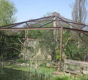 Zoo Heidelberg 