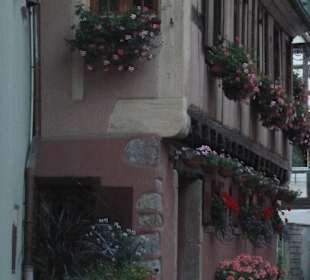 Blumengeschmückte Hausfassade