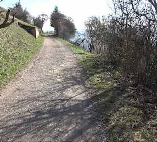 Hirschauer Spitzbergwegle (Premiumspazierwanderweg
