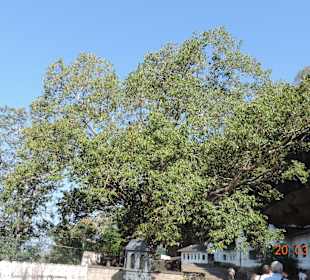 Höhlentempel Außenbereich