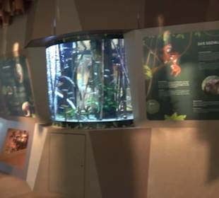 Tierpark Hellabrunn - Welt der Affen