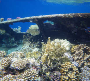 Ein kleines Schiffswrack