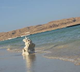 Korallenbrüche am Strand