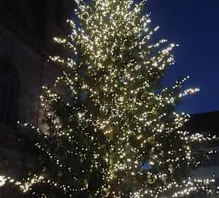 Großer Weihnachtsbaum vorm Münster