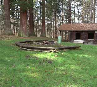 Wellingtonien - Platz mit Mammutbäumen