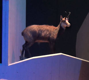 Nationalparkzentrum Haus der Berge