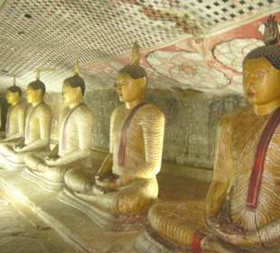 Buddhas in den Höhlen von Dambulla