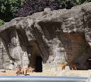 Tierpark Hagenbeck