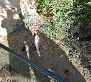 Zoologischer Garten Prag