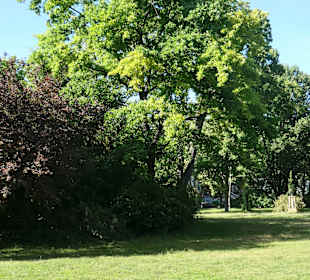 Unterwegs im Volkspark Friedrichshain