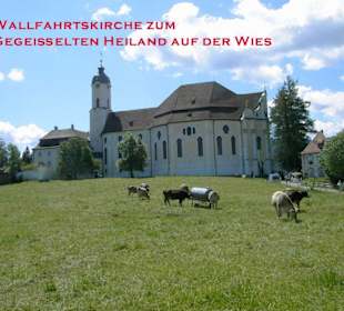 Die Wies