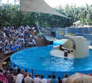 Loro Park ein muss, es lohnt sich