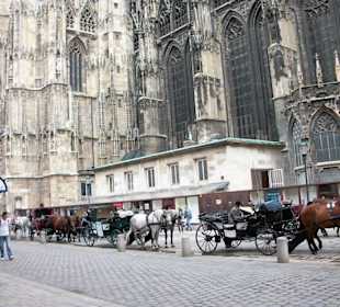 Fiaker vorm Dom