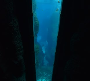 Aquarium mit Untersee-Station