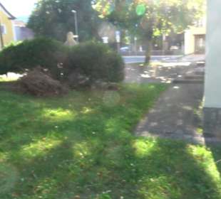 Kirche Mariä Himmelfahrt