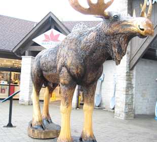 Stadtrundgang Toronto